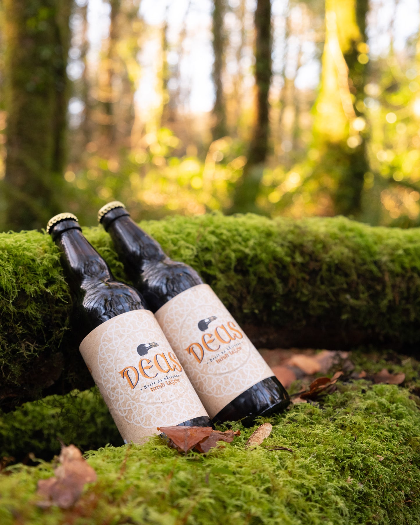 Deas Lager - 12 Bottle Crate