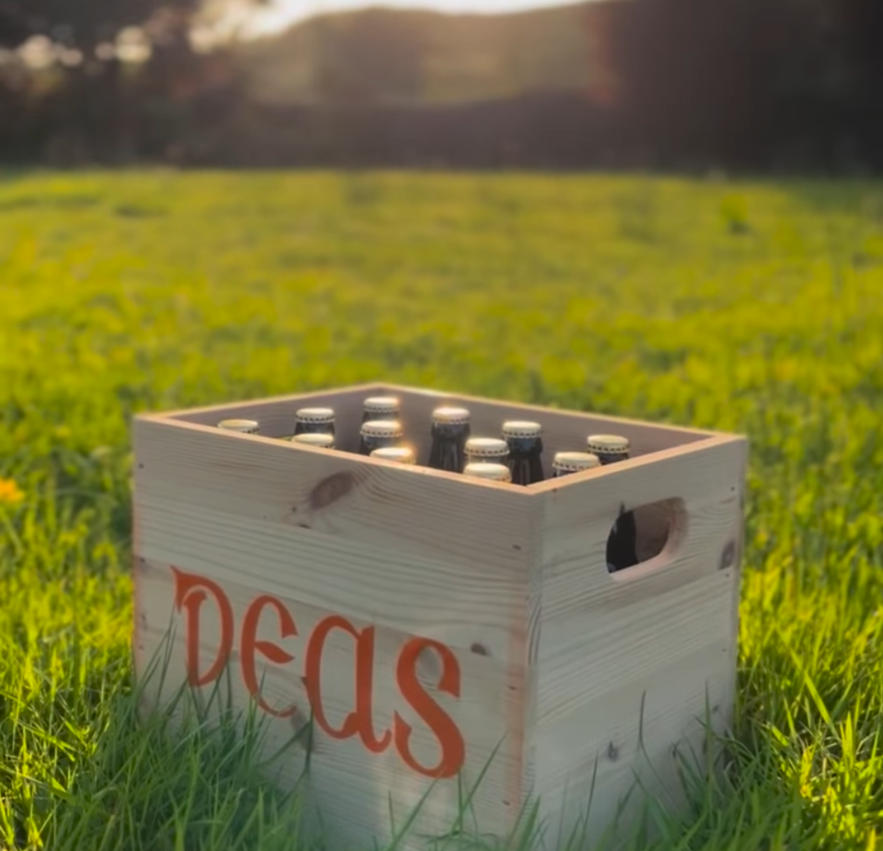 Deas Lager - 12 Bottle Crate